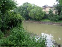 Imagine atasata: Bega - 2014.06.01 - 12.jpg